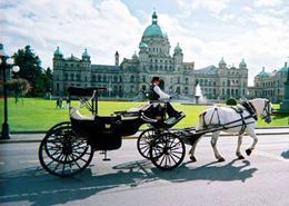 Picture of Horse Drawn Carriage Tour of Victoria - 30 Minute Tour