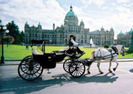 Picture of Horse Drawn Carriage Tour of Victoria - 60 Minute Tour