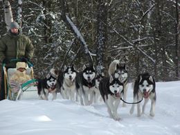 Picture of CHILD   Dog Sledding & Snowshoeing Stay and Play Adventure