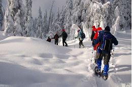 Snowshoeing and dogsledding experience a short drive from Ottawa and Gatineau