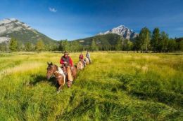 Picture of Banff Horseback Ride - Bow River Ride - 1 hour