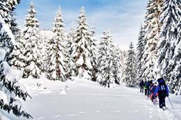 Vancouver Guided Snowshoeing Tour