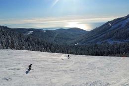 Ski and Snowboard Tour from Vancouver