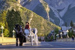 Picture of Banff Carriage Ride - Downtown Tour