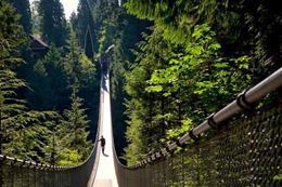 Picture of North Vancouver and Capilano Bridge Private Tour - Adult