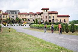 Niagara-on-the-Lake Wine Tour by E-bike