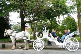 Victoria sightseeing tour in a Horse Drawn Carriage Tour