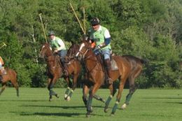 Picture of One Day Polo Clinic