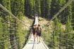 Guided hiking tour of Blackshale Suspension Bridge, Kananaskis