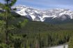 Unique Guided hiking tour, Kananaskis, Alberta