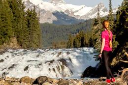 Banff and its Wildlife sightseeing tour summer