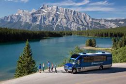 Summer Banff sightseeing tour wildlife