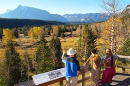 Summer things to do in Banff sightseeing tour wildlife