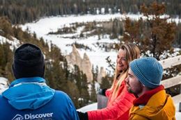 Banff winter sightseeing tour wildlife