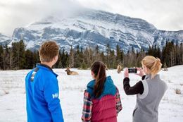 fun things to do in Banff in winter