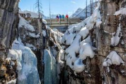 Snowshoeing Tour to Marble Canyon, Banff National Park
