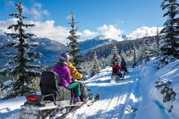 Whistler winter activity, Family Snowmobile Tour, Breakaway Experiences