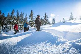 Whistler snowshoeing tour Breakaway Experiences