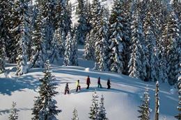 Whistler snowshoeing guided tour on Whistler backcountry trails