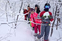 Guided Snowshoeing tour Collingwood Ontario