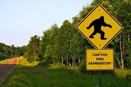 Picture of Toronto Adventure Drive - Hunt for The Sasquatch - For 4 + participants