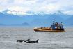 Semi-covered boat on Vancouver Whale Watching Tour