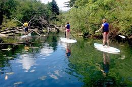 SUP and Kayak  Eco-tour of Toronto Islands