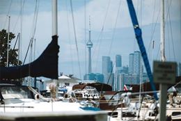 Eco-tour of Toronto Islands stand-up paddle boarding skyline