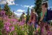 Kananaskis hiking tour to a reclaimed mine and Ghost Town beer afterwards