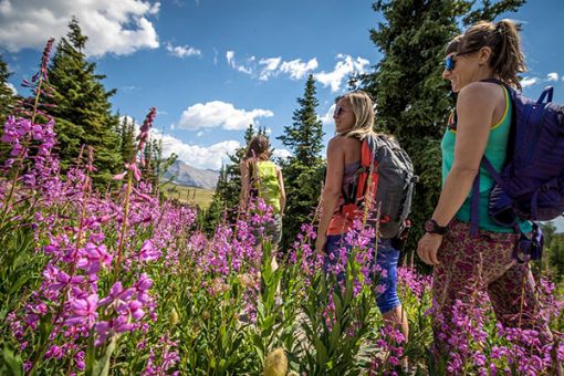 Kananaskis hiking tour to a reclaimed mine and Ghost Town beer afterwards