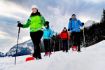 Kananaskis Valley guided snowshoe tour