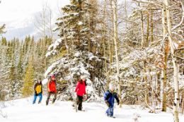 Kananaskis Valley guided snowshoe tour great for families