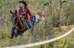 Kananaskis Suspension Bridge and Horseback Ride guided tour