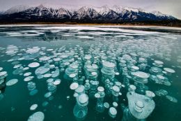 Abraham Lake Frozen Bubbles Alberta