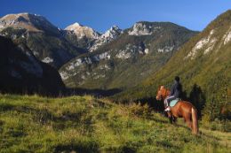 Rocky Mountains Helicopter and Horseback Riding Tour