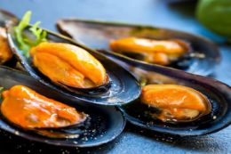 Lunenburg, Nova Scotia Seafood Food Tour, Atlantic mussels