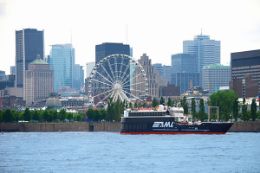 Montreal sightseeing tour city view from St Lawrence River