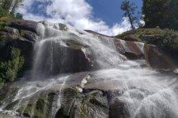 Waterfalls, Whales, Wildlife Tour, British Columbia, Chatterbox Falls