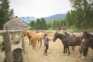 horseback riding Pemberton BC, corral