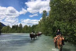 horseback riding Pemberton BC, guided