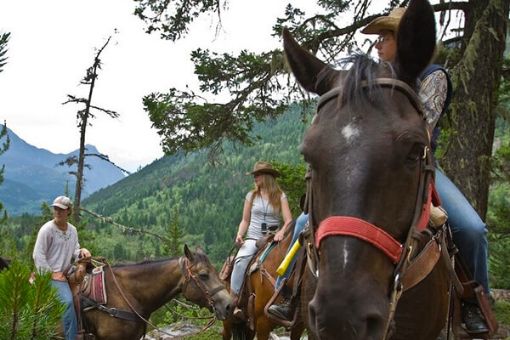 Guided Horseback Ride at Birkenhead Lake, Pemberton