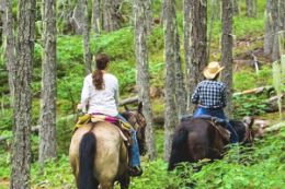 Whistler Pemberton horseback riding mountain trail