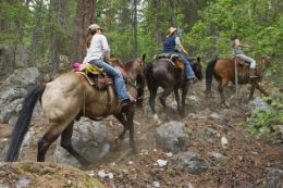 Whistler Pemberton horseback riding guided tour on trail