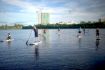 Ottawa Gatineau Learn Stand Up Paddleboarding (SUP)