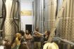 Vancouver wine tour, tour of winery Fraser Valley