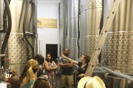 Vancouver wine tour, tour of winery Fraser Valley