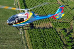 Niagara Falls Helicopter Tour plus Peller Estates Winery for wine tasting and gourmet meal