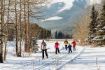 Kananaskis Cross-country Skiing Group Lesson