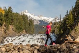 things to in Banff in summer - Wildlife Tour guided