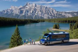 guided tour in Banff - Summe wildlife tour